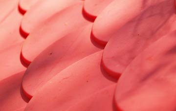 Bremhill plastic roof costs