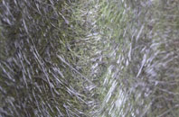 Bremhill fibreglass roof work